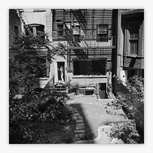 Rear Window Shoot