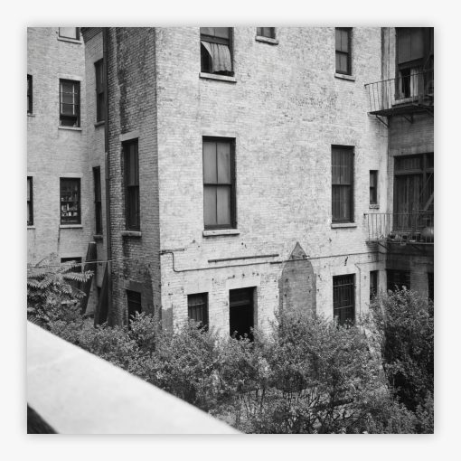 Rear Window Shoot