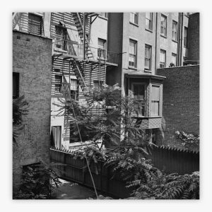 Rear Window Shoot