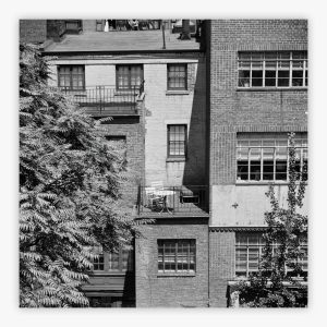 Rear Window Shoot