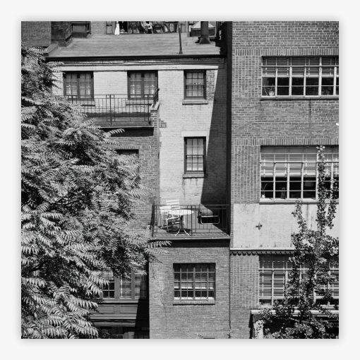 Rear Window Shoot