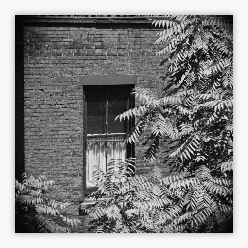 Rear Window Shoot