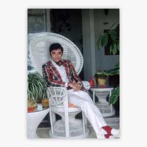 Rex Reed