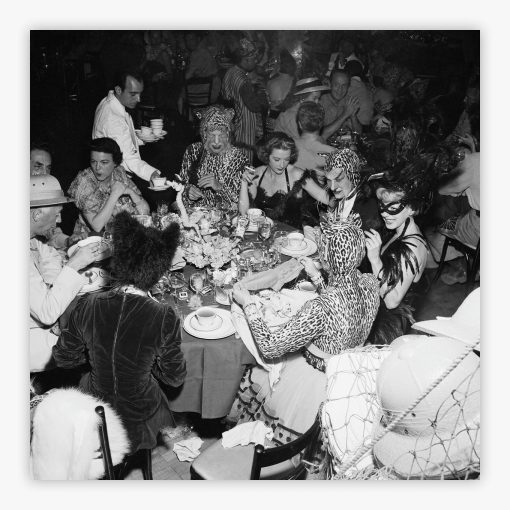 Safari Party