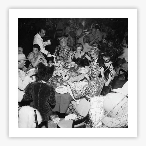 Safari Party - Image 2