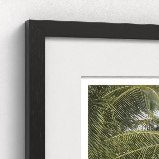 Saint Kitts and Nevis - Image 4