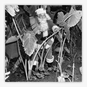 Santa Bing