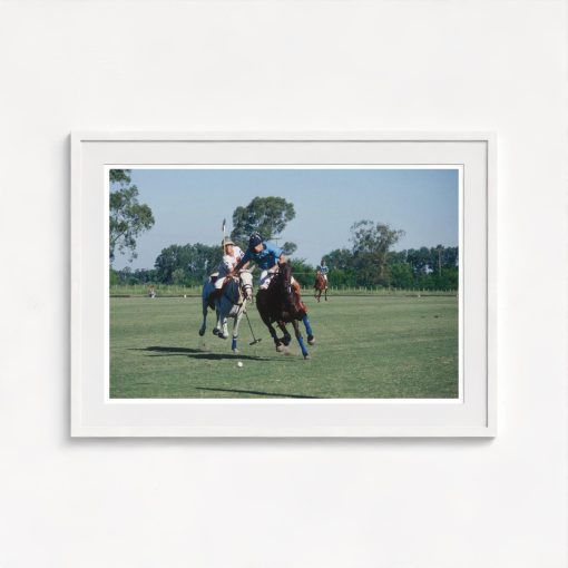Argentine Polo Match - Image 5