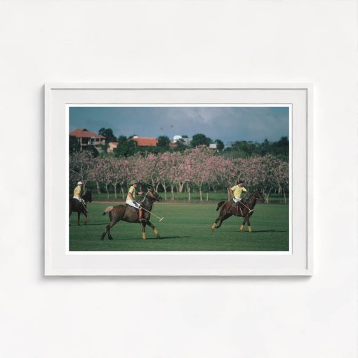 Caribbean Polo Match - Image 5