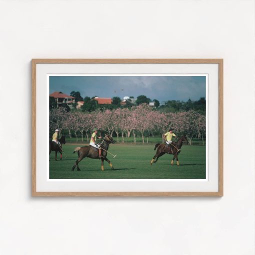 Caribbean Polo Match - Image 7
