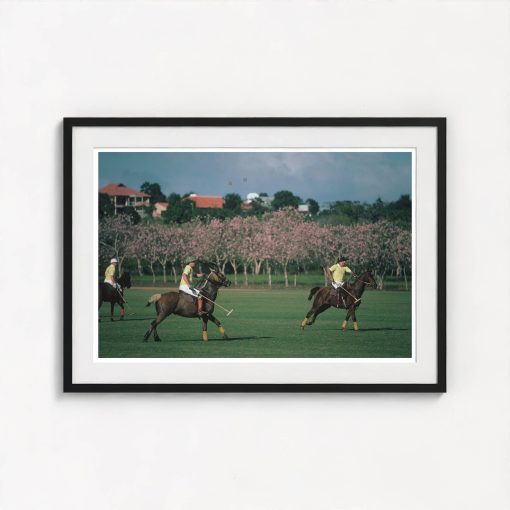 Caribbean Polo Match - Image 3