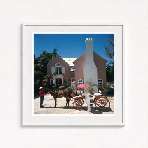 Carriage Awaits - Image 5