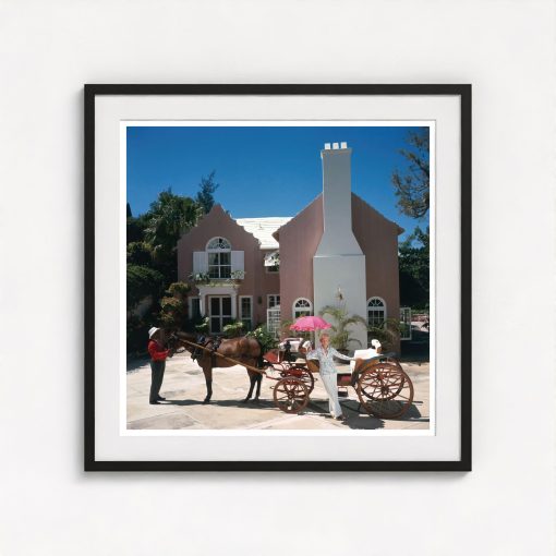 Carriage Awaits - Image 3