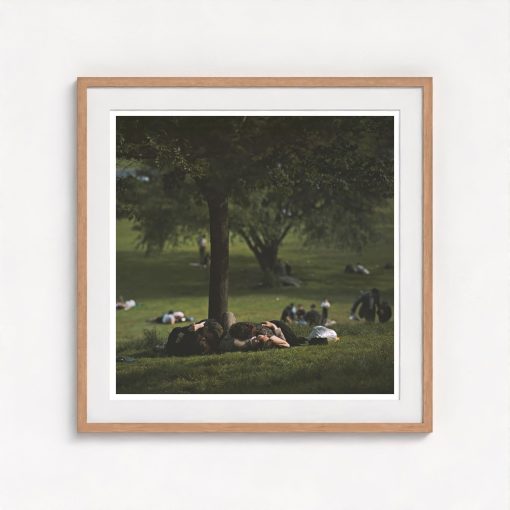 Central Park - Image 7