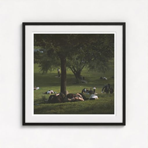 Central Park - Image 3