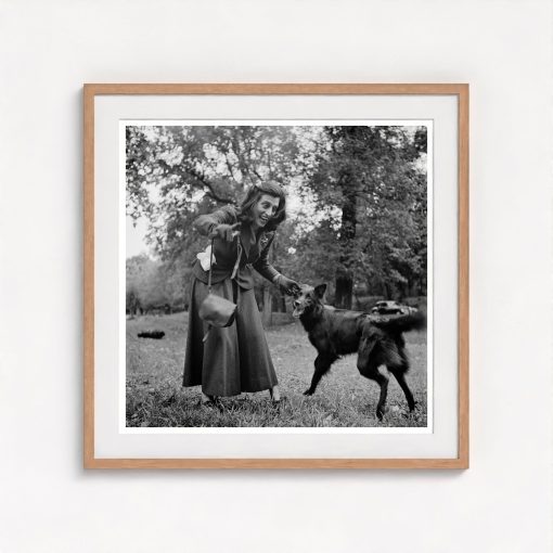 Dog Walker - Image 7