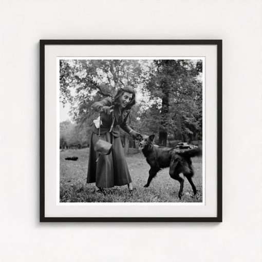 Dog Walker - Image 3