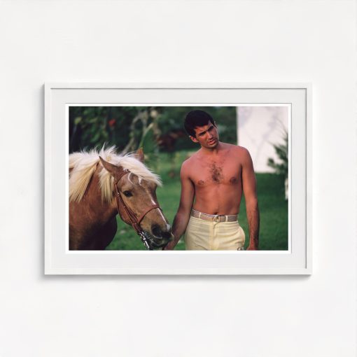 George Hamilton - Image 5