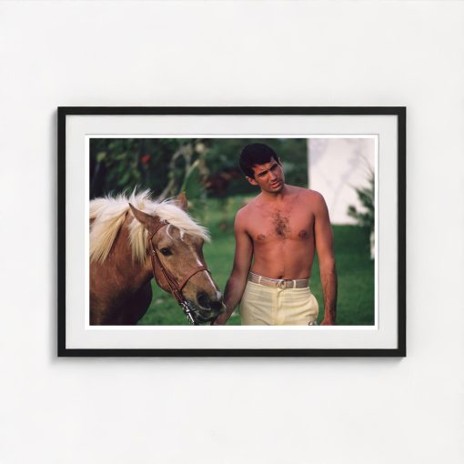 George Hamilton - Image 3