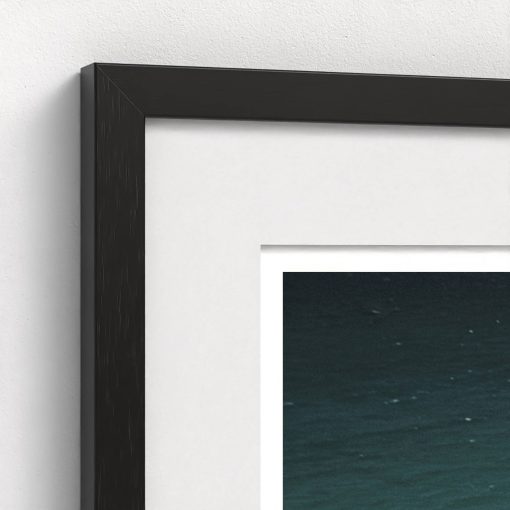 Island Life - Image 4