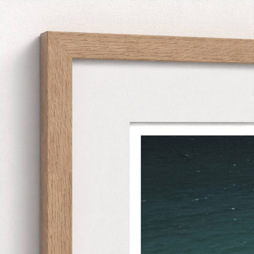 Island Life - Image 8