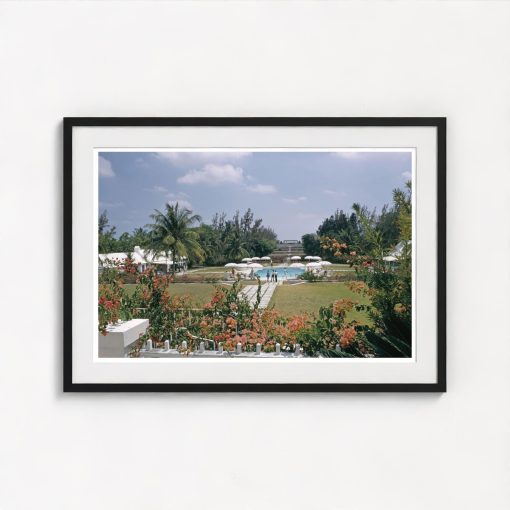 Paradise Island - Image 3