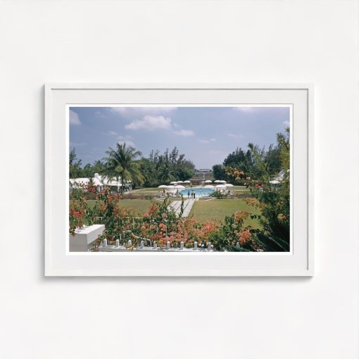 Paradise Island - Image 5