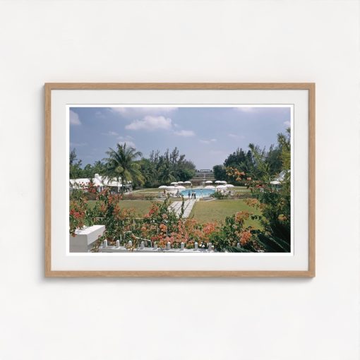 Paradise Island - Image 7