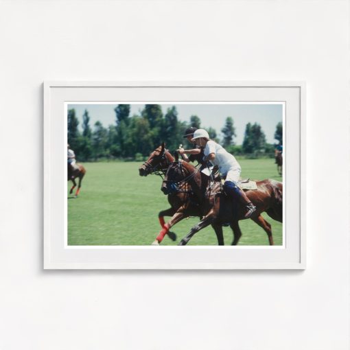 Polo Match - Image 5