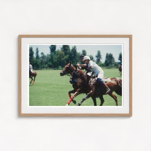 Polo Match - Image 7