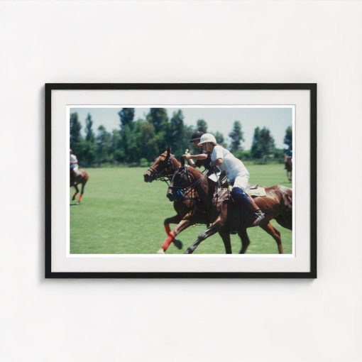 Polo Match - Image 3