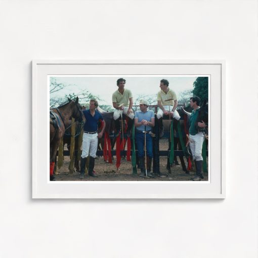 Polo Team - Image 5