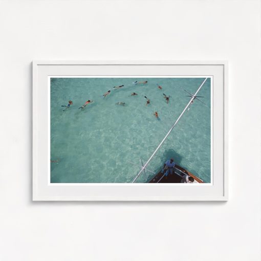 Swimming In Bermuda - Image 5