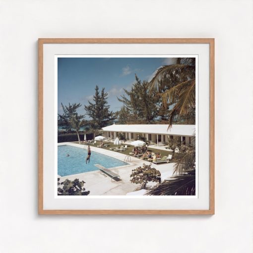 Taking The Plunge - Image 7