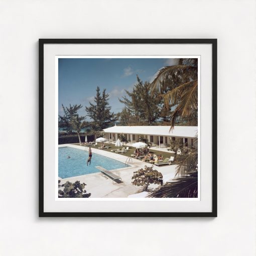 Taking The Plunge - Image 3