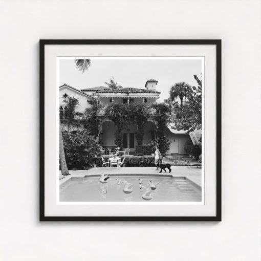 Walking The Dog - Image 3