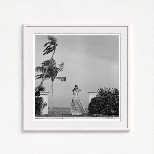 Wendy Vanderbilt - Image 5