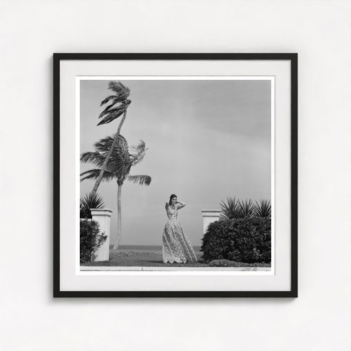 Wendy Vanderbilt - Image 3
