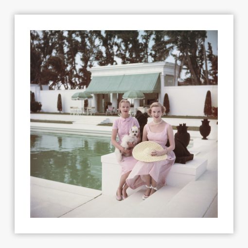 Socialites - Image 2