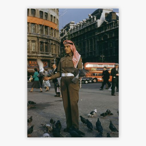 Soldier Feeds Pigeons
