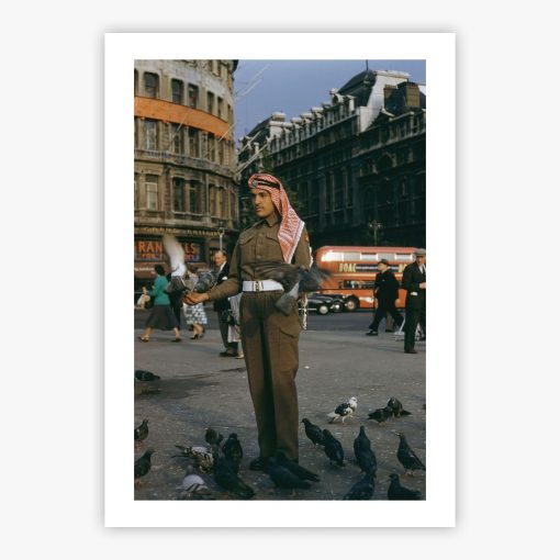 Soldier Feeds Pigeons - Image 2
