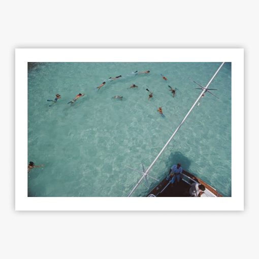 Swimming In Bermuda - Image 2