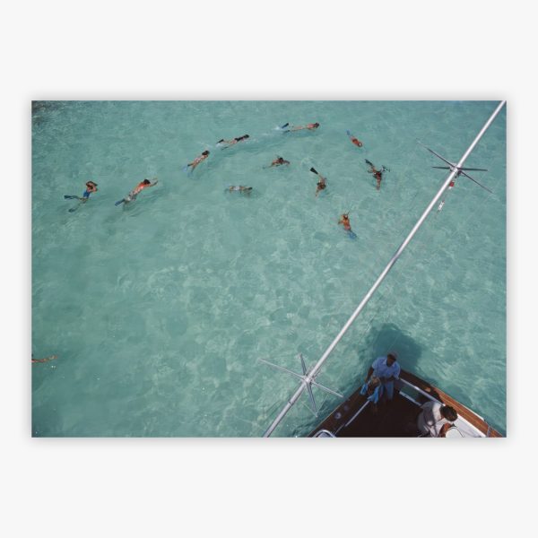 Swimming In Bermuda
