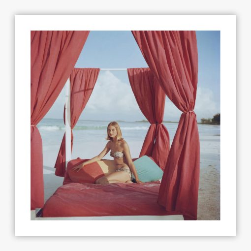 Tania Mallet - Image 2