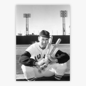 Ted Williams