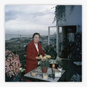 Terrace Gardening