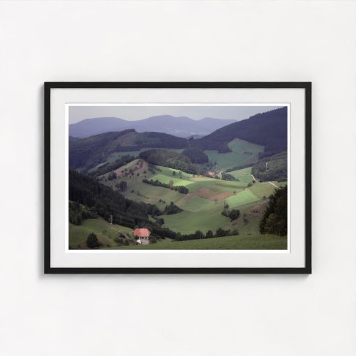 The Black Forest - Image 3