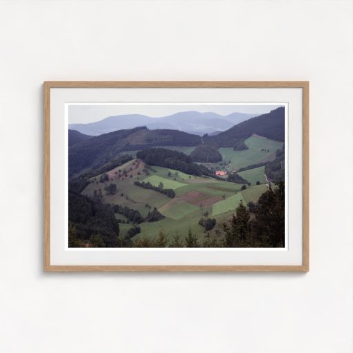 The Black Forest - Image 7