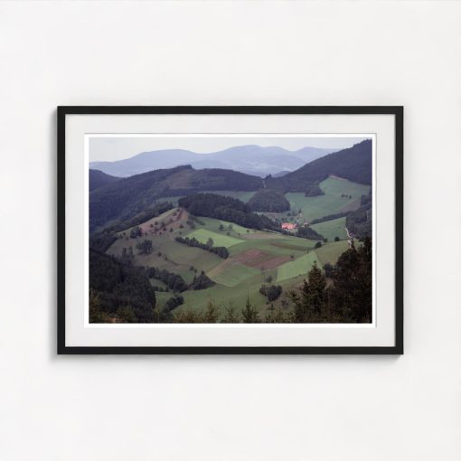 The Black Forest - Image 3