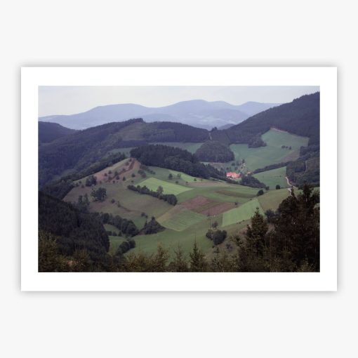 The Black Forest - Image 2
